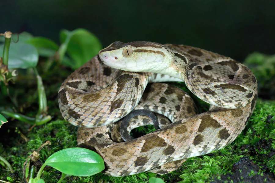 Sfeerbeeld van gebied Aventura Ecológica